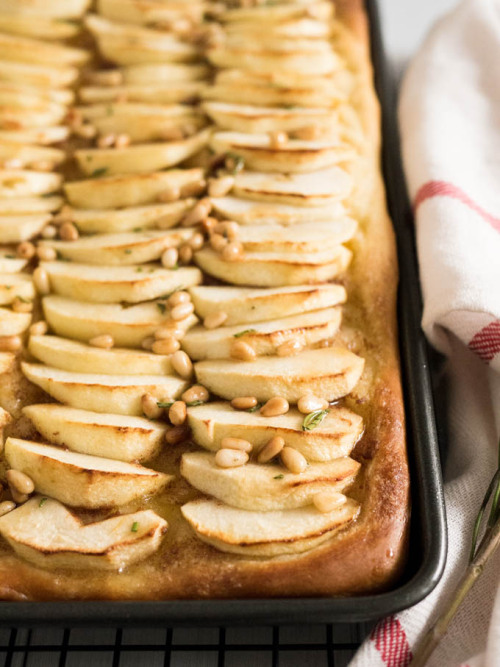 intensefoodcravings:
“This Apple Cake Recipe is perfect for fall! Yeast dough is brushed with cinnamon butter, topped with fresh apple slices and glazed with honey and pine nuts.
”