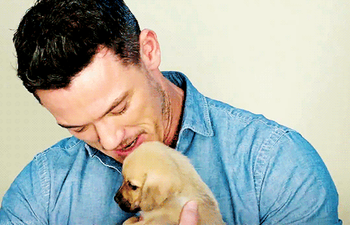 lukevanski: Luke Evans in People’s ‘Celeb Guys Playing With Puppies’ video  (ू•ᴗ•ू )♡