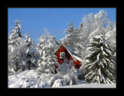 FotoSketcher - house in the snow by FotoSketcher