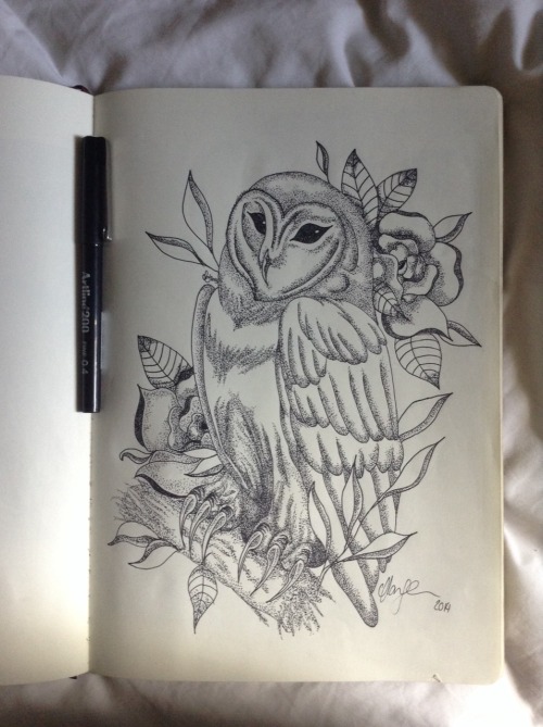 soothesmymind:An old owl drawing