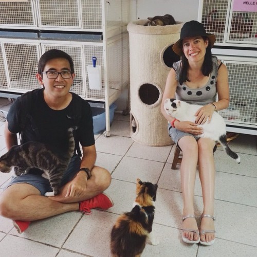 We spent close to 3 hours just sitting around and playing with the cats. #BigTrip2014 #footballcouple @NatalieTosh (at Torre Argentina Cat Sanctuary)