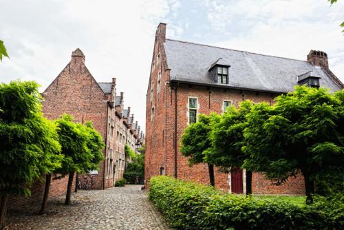 The Medieval Movement of Holy Women That Shaped Belgian CitiesOn June 1, 1310, a woman named Marguer