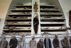 ljosio:  Catacombe dei Cappuccini. Palermo,