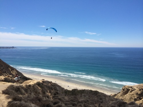 missdanidaniels: Today was awesome at Blacks beach with @elexismonroe ☀️