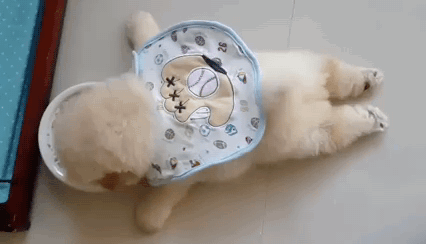 gifsboom:  Video