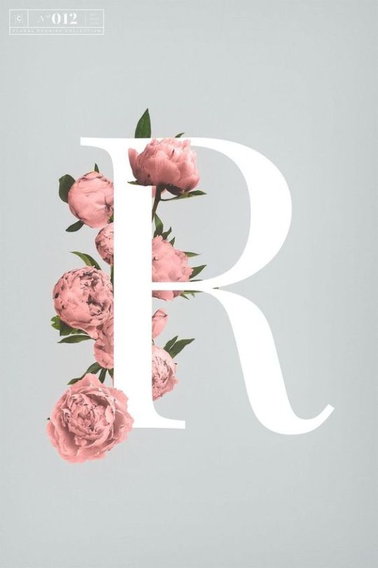 download r tumblr download r tumblr