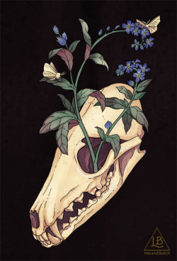 hexandsketch:  Death XII: Transformation, starting over, new life.   Fox skull &amp; forget me nots.  Flowers based off some lovely vintage redouté paintings.