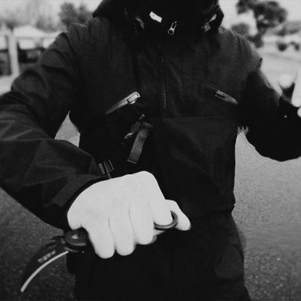 Criminaloid