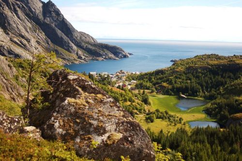 Atop a granite ledge overlooking the village of Nusfjord in the Lofoten Islands, a verdant diorama o