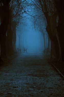 Sex limerencey:blue grey fog on a winter evening pictures