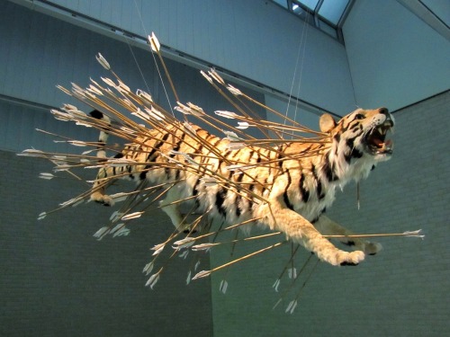 Installation sculpture by artist Cai Guo-Qiang.  These are sculptures of tigers suspended from the c