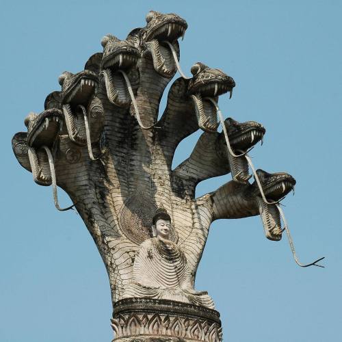 talonabraxas: The statue depicts the multi-headed serpent Naga, who protects the lord Buddha with i