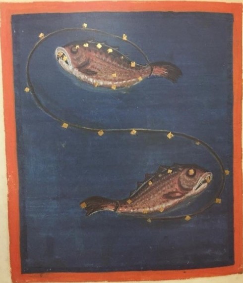 celestial-cartography:  Pisces constellation, from Leiden Aratea (ca. 816)Leiden