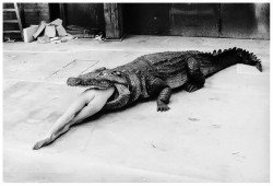 almavio: HELMUT NEWTON  Scene from Pina Bausch’s Ballet, 1983