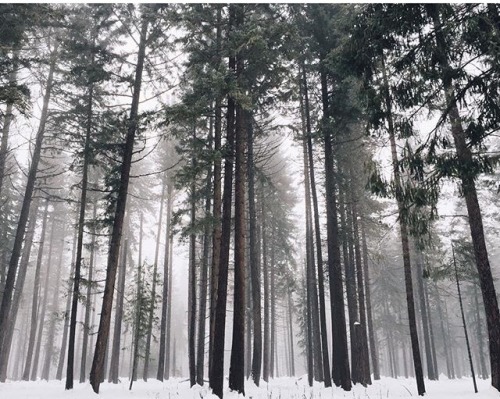 delta-breezes: Bethany Marie Co