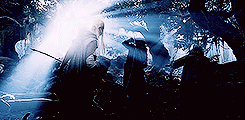 momopuff:lotr meme: seven scenes [2/7] → the white wizard