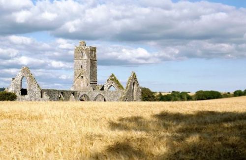 putdownthepotato:Kilcrea Abbey, co. Cork by Daniel Hastings