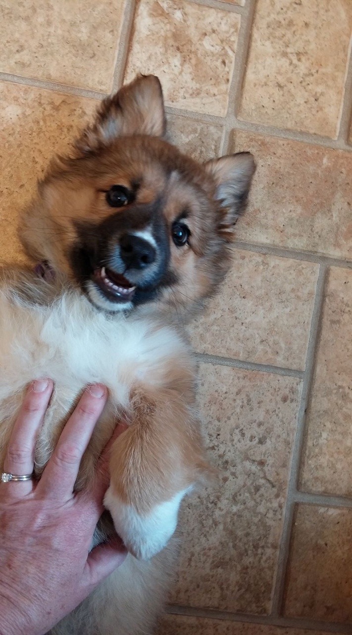 All Cute. All the Time.