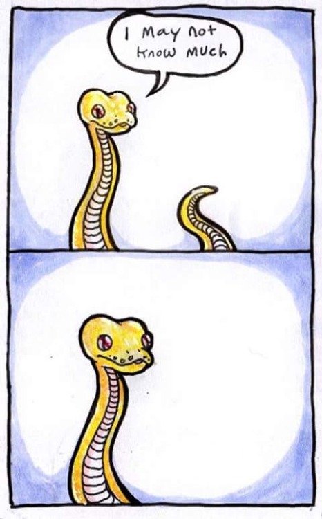queenelizzabeth25:@william-snekspeare , your doodles make me laugh all the time.