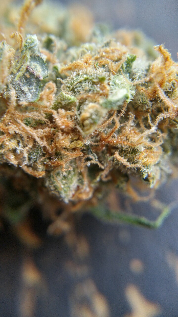 weed-breath:   Zoom 