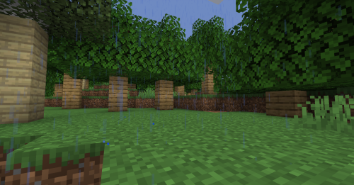 nothing to see here. just a normal forest outside of spawn.IP: mc.kivcraft.ca