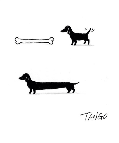 pretentioususernametosoundsmart:  beben-eleben:  Simple But Clever Animal Comics By Shanghai Tango  These are punsThese are visual puns 