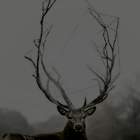 princessirisse:tolkien moodboards | hunters of oromëHunters of monsters and fell beasts.
