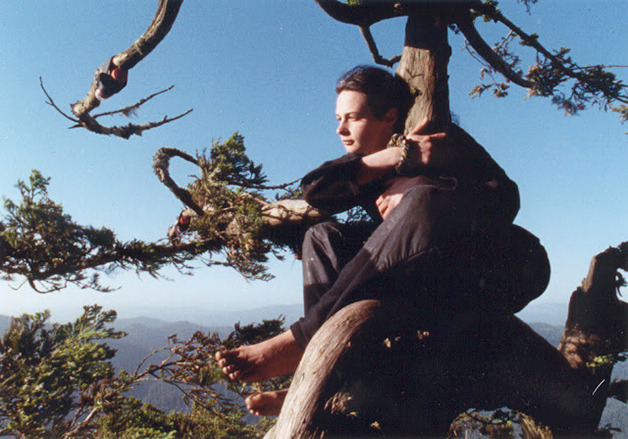 ojala-que:  lonelynomads:  eulen:  Julia Butterfly Hill lived in a 180-foot (55 m)-tall,
