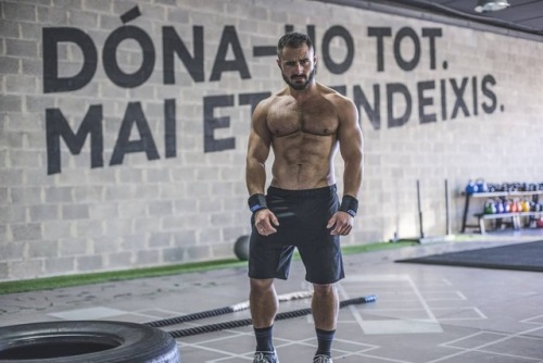 furrybeardedhunk: ᴀɴᴅƦᴇ ʜᴏҒᴍᴀɴɴ  @A.HFMNNFollow furrybeardedhunk.tumblr.com/