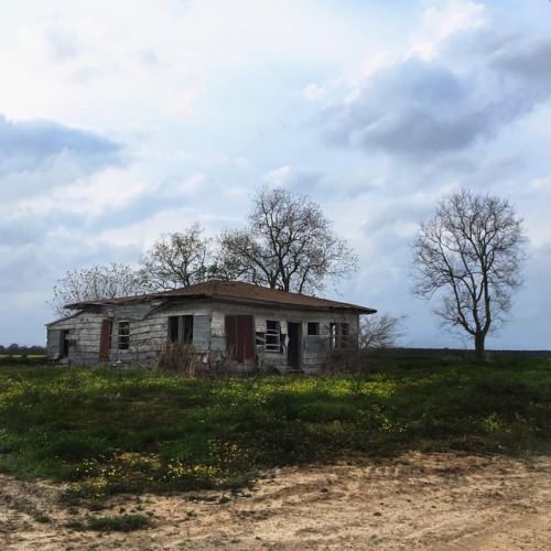 I may be broken, but still I stand tall. * * * #abandonedplaces #derelict #broken #quoteoftheday #qu