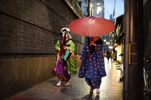 geisha-kai:February 2014: maiko Shouko and Mikako under the rain by LPstyle on Flickr