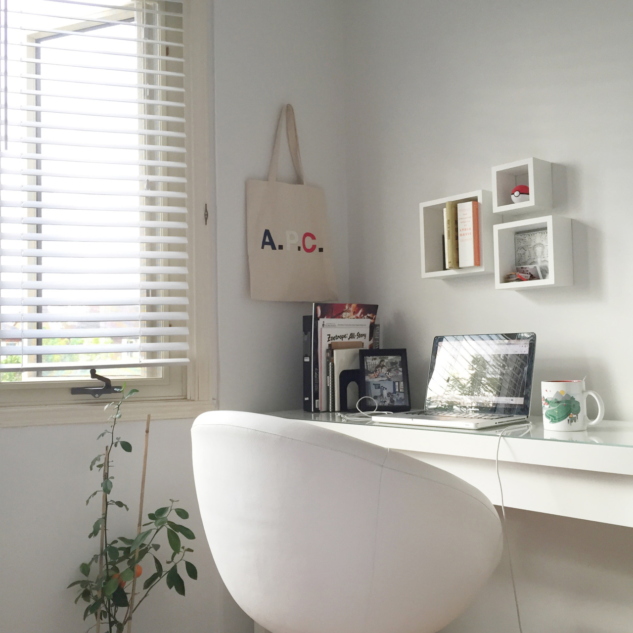 soymilkpapi:  my bedroom, may 2015
