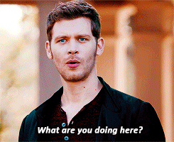mikaelsonsource:#STOP THAT RIGHT NOW#GIVE US BACK OUR ELIJAH #to#tos5#to 5x06 #klaus x elijah #gifs#by sahar