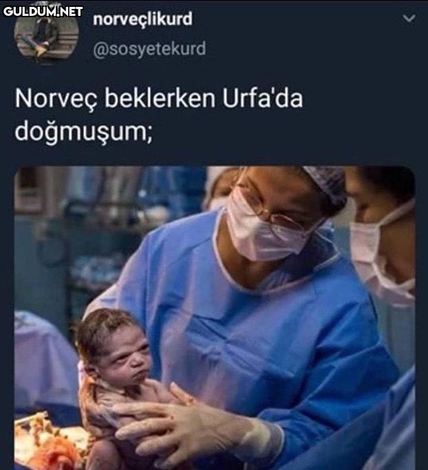 Bruh moment  norveçlikurd...