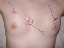 sadfrick:  these look like my boobs