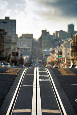 Metrodorus:   Cali Street 