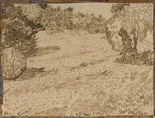 dayintonight:Garden at ArlesVincent van Gogh - 1888