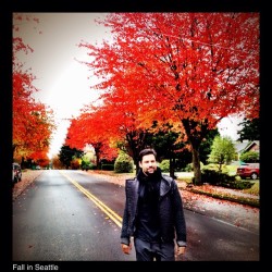 manusbennett:  manubennett Fall in Seattle