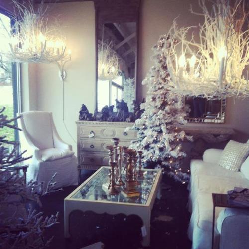 wishdesignsusa