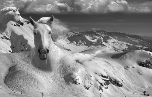 asylum-art: Surreal Photo Manipulations by Thomas Barbéy Photo manipulations have been a mainstay of photography, even before the advent of Photoshop, but with the ubiquitous use of program by everyone and their brother, the world has become flooded