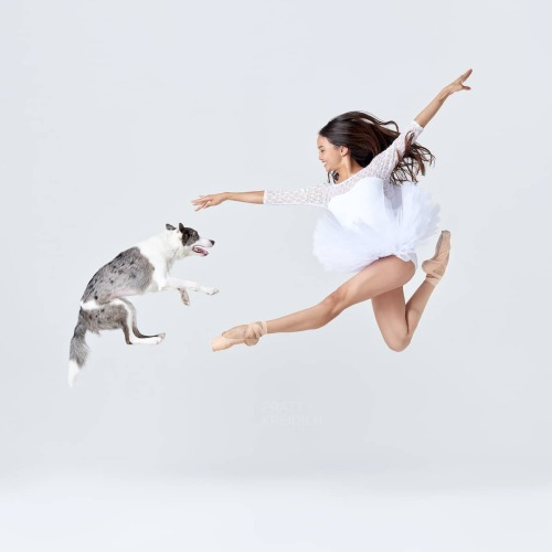 Kelly Pratt Kreidich and Ian Kreidich’s “Dancers &amp; Dogs” pairs professiona