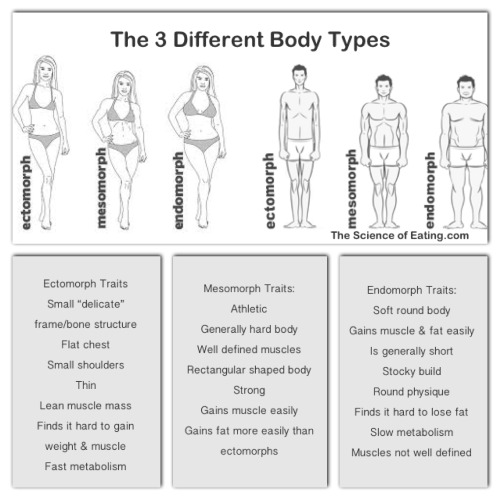 eatfithappiness:  Endomorph for the win