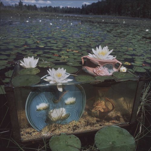 unsubconscious:Arthur Tress, Nubanusit Lake, New Hampshire, 1989 