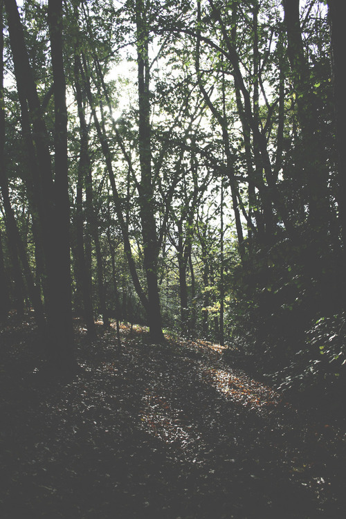 almightynature: More nature photos at http://almightynature.tumblr.com