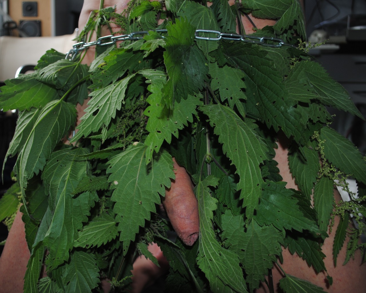 How do you like my nettle skirt?