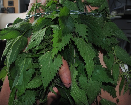 Sex How do you like my nettle skirt? pictures