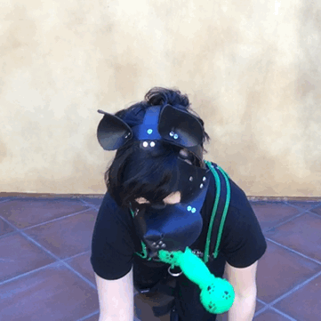 puppykato:  I 💚 my squeaky  