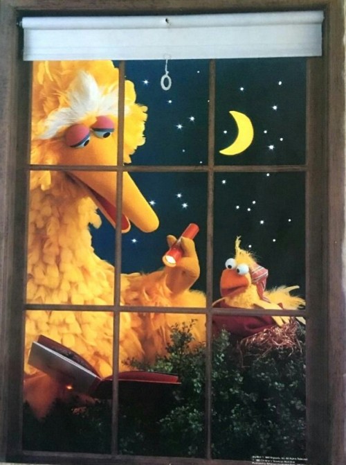 themuppetmasterencyclopedia - Big Bird and Little Bird 1980...