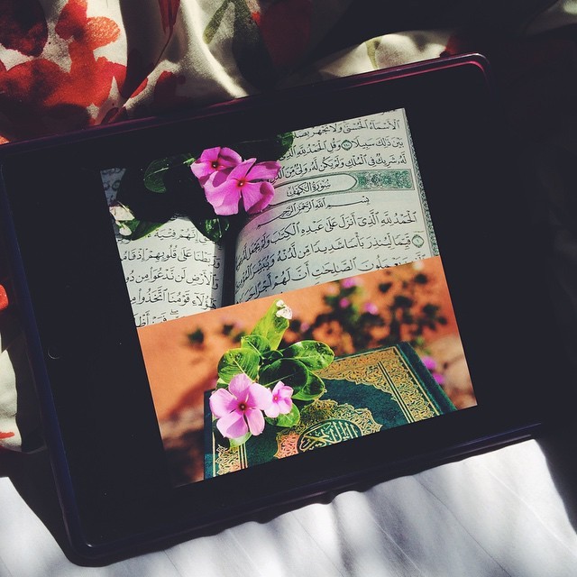 mzzna:  استغفر الله من كل ذنب يُمسك النعم  ويزيل