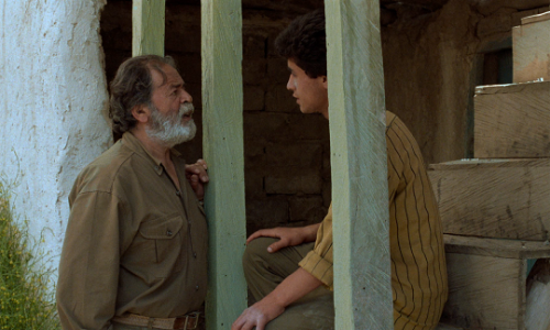 thelittlefreakazoidthatcould:Is your heart made of stone or what?Through the Olive Trees (1994) // d